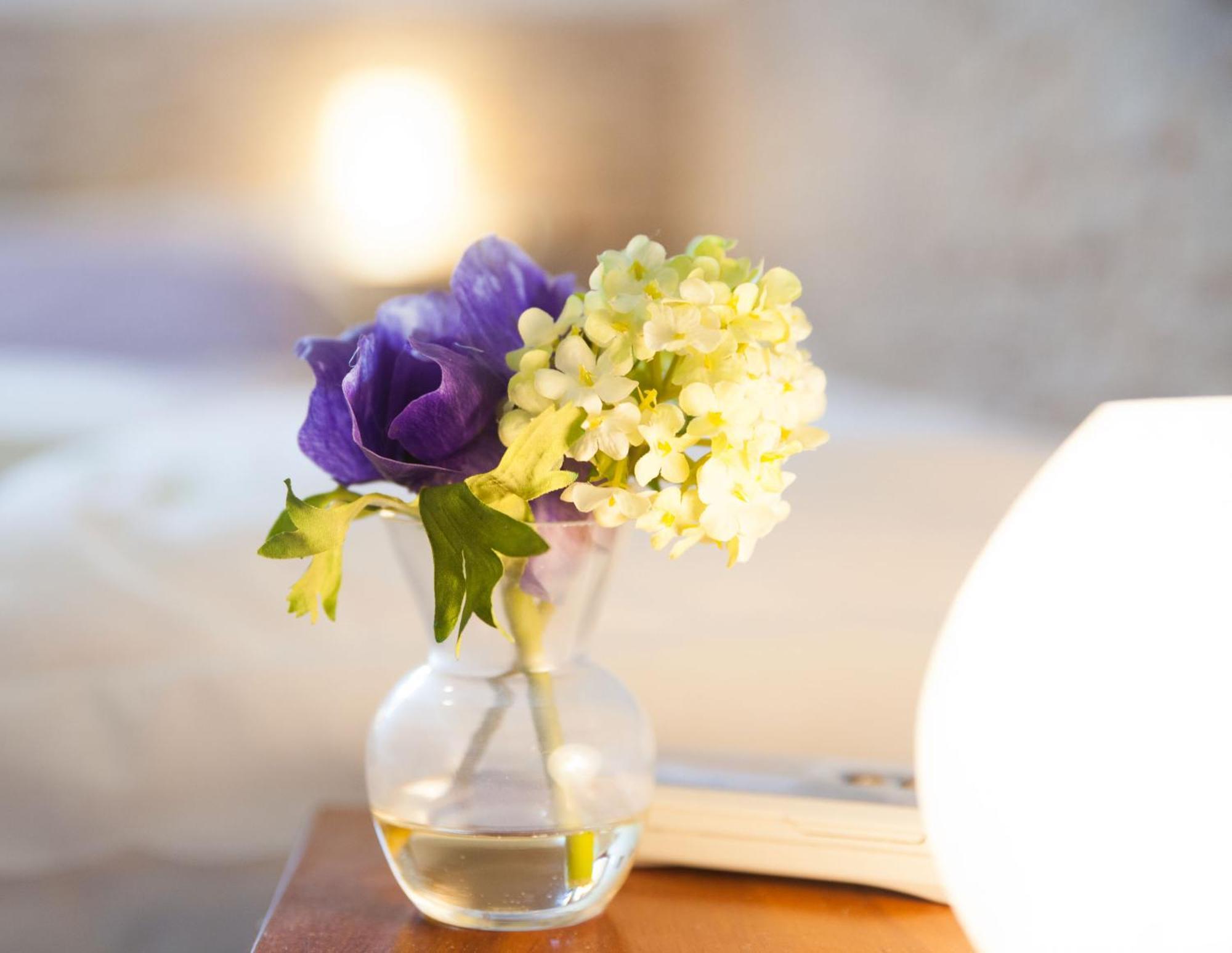 Villa Amodeo 파세코 외부 사진