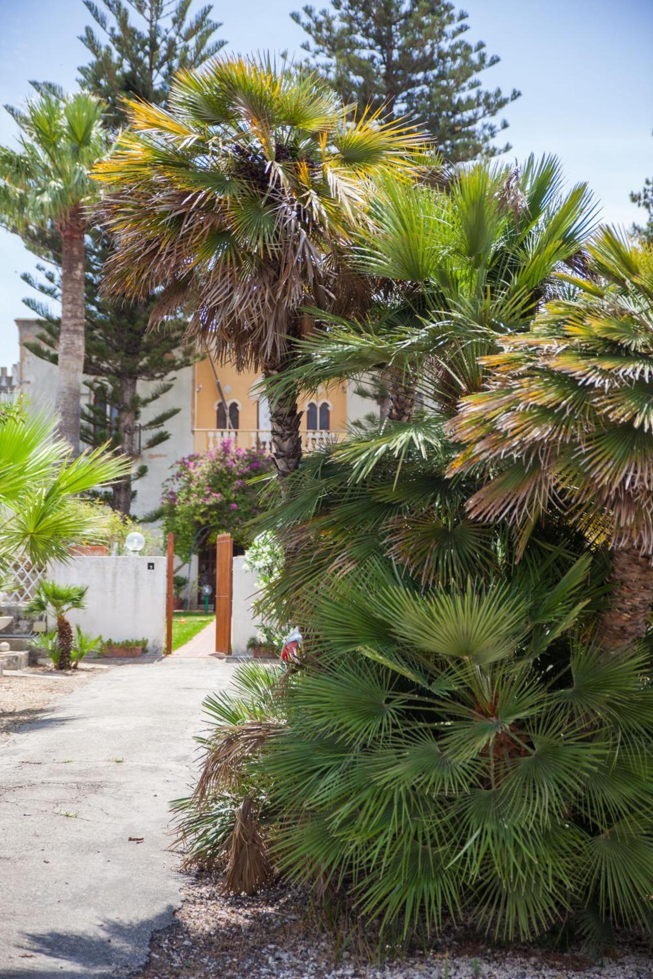 Villa Amodeo 파세코 외부 사진